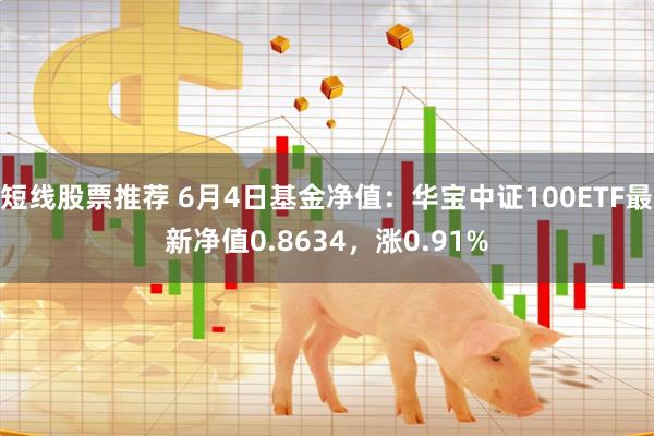 短线股票推荐 6月4日基金净值：华宝中证100ETF最新净值0.8634，涨0.91%