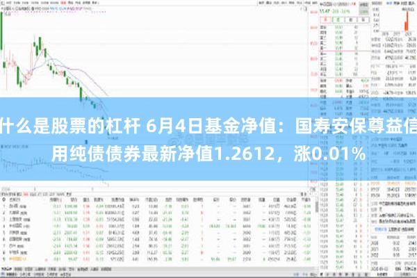 什么是股票的杠杆 6月4日基金净值：国寿安保尊益信用纯债债券最新净值1.2612，涨0.01%