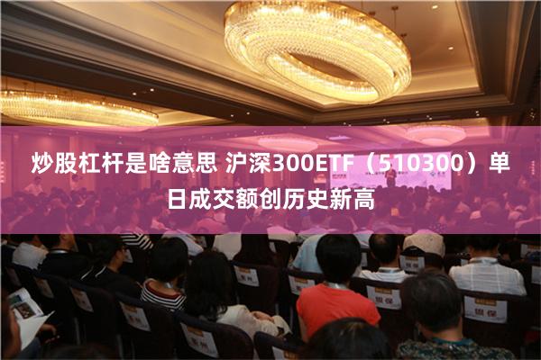 炒股杠杆是啥意思 沪深300ETF（510300）单日成交额创历史新高