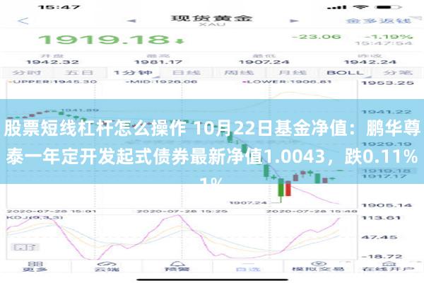 股票短线杠杆怎么操作 10月22日基金净值：鹏华尊泰一年定开发起式债券最新净值1.0043，跌0.11%