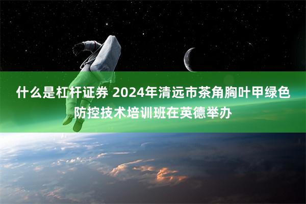 什么是杠杆证券 2024年清远市茶角胸叶甲绿色防控技术培训班在英德举办