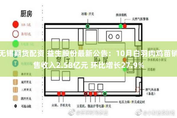 无锡期货配资 益生股份最新公告：10月白羽肉鸡苗销售收入2.58亿元 环比增长27.9%