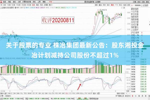 关于股票的专业 株冶集团最新公告：股东湘投金冶计划减持公司股份不超过1%